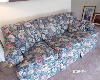 sleeper sofa