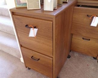 2 of these file cabinets