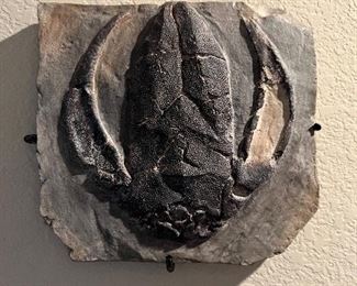 Another prehistoric looking fossil wall art