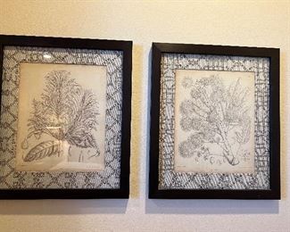 Botanical Prints