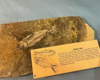 Fossil Fish