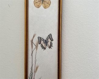Framed Butterflies