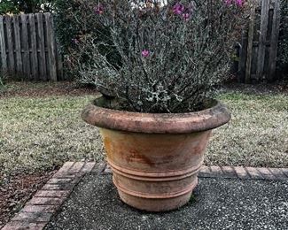 One of a pair of Giant Terra Cotta Pots originally purchased at Duh