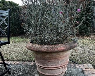 One of a pair of Giant Terra Cotta Pots originally purchased at Duh
