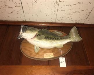 Items Located In The Family Room