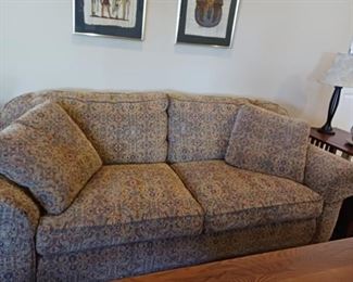 2 cushion sofa