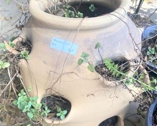 Strawberry pot