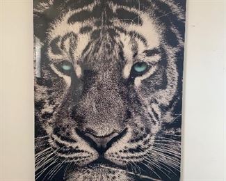 Super cool large tiger pic 