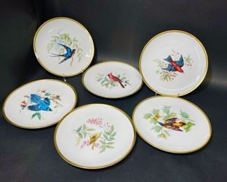 Fine Hutschenreuther  Selb Bavaria Germany  Set of 6 Yellow Warbler From the Drawings Of Audubon Bird  Plates