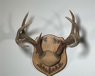 MOUNTED ANTLER PAIR  |  On a wood plaque, signed by creator "Bill" - l. 14 x w. 11.5 x h. 15 in.
