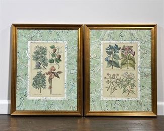 (2pc) PAIR BOTANICAL ENGRAVINGS  |  Botanical studies, one showing blooming flowers, the other with pinecones, etc. in unique marbled mats and gilt frames - w. 17.5 x h. 23 in. (each frame)