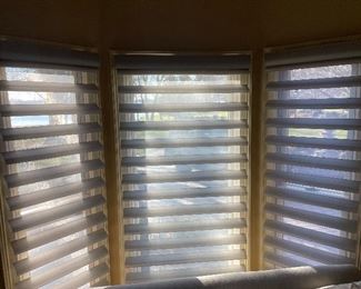 Remote controlled window shades by Hunter Douglas (office)