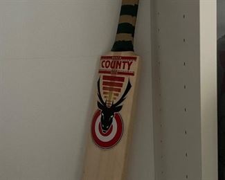 Cricket paddle
