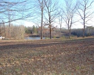Tract 2:  12+- acres with 2 ponds and shed