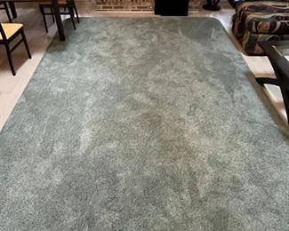 Teal area rug 9' x 14'