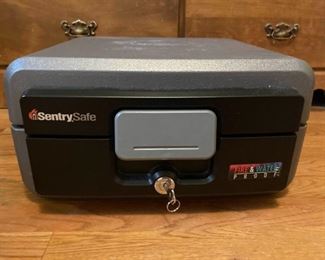 Sentrysafe Safe