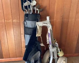 Stylist Clubs And Cart Caddy