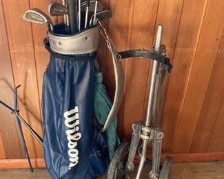 Wilson Golf Bag Spectrum Clubs Custer Woods And Cart Caddy
