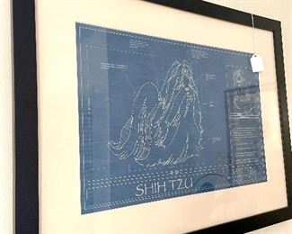$48. Shih Tzu Blueprint Print. 20 x 26.
