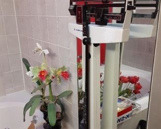 Professional Floor Scale, Silk Flowers