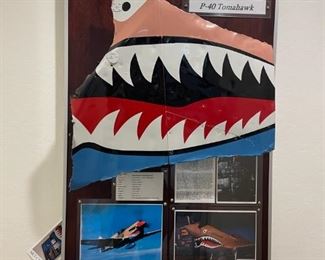 WWII P-40 Tomahawk Sheetmetal Wall Art