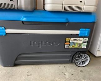 Electric ice chest