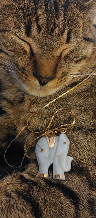 My Cat Tony modeling jewelry 