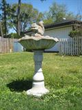 Vintage Bird Bath with Squirrel Font