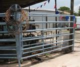 1 OF SEVER CATTLE PANELS