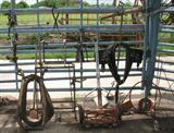 VINTAGE HORSE COLLARS,ETC