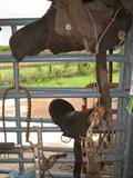 OLD SADDLES, ETC