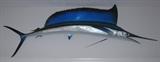 Taxidermy Mounted Rare Shear Bill Fish from the Marlin Family