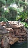 Just to give you a feel of how beautiful this home is. A view of the Rock Grotto Set in the in Ground Spa