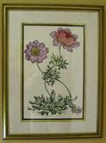 Framed & Matted Floral Botanical Print