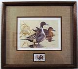 "Pintails" a Texas Duck by Ken Carlson Print with Duck Stamp Framed & Matted