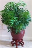 Large Silk Ficus Plant in porcelain planter with oriental stand
