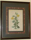 Vintage Framed Botanical Print (14.5"x17.5" overall)