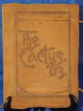 "The Cactus" '03 University of Texas Yearbook with Chamois Leather Cover Vol. X 1903