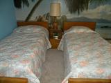 Mid-Century Modern Twin Bed set with New Sealy Posture Pemier masttreses