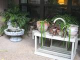 Plants, Pot, Water Fall birdbath, etc.