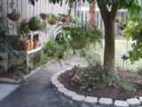 Plants, Plants, and More Plants: Hanging & Potted