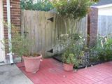 The Garden Gate, Large potted Plants