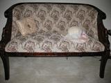 Reproduction Victorian Style Brocade Upholstered Seatee