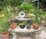 Vintage Cement Patio Table with Curved Benches. Display of numerous plants