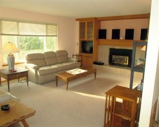 Family Room Right:  Leather Couch (Bed), Coffee Table, Turning Book Table, Advent Speakers,  Neat Lamp