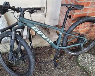 Giant Mountain Bike