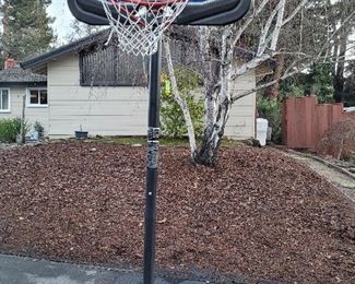 Lifetime 44 inch Basketball hoop poly carbonate backboard 7.5-10 Feet