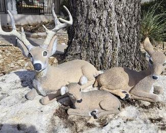 Deer Family