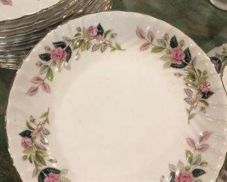 Plate showing detail of Regency Rose