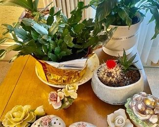 Home decor and plants